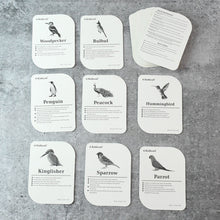 KidKraft Early Learner Educational Flashcards – 32 Birds